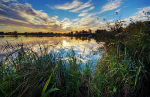 Lago di Massaciuccoli